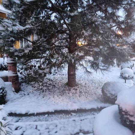 Natura Apartment Belgrad Dış mekan fotoğraf