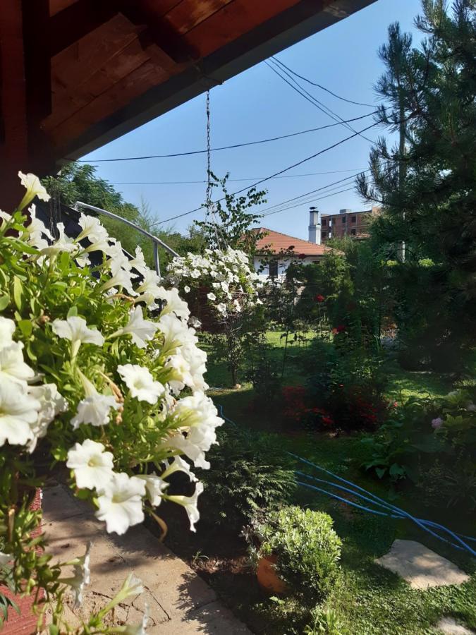 Natura Apartment Belgrad Dış mekan fotoğraf