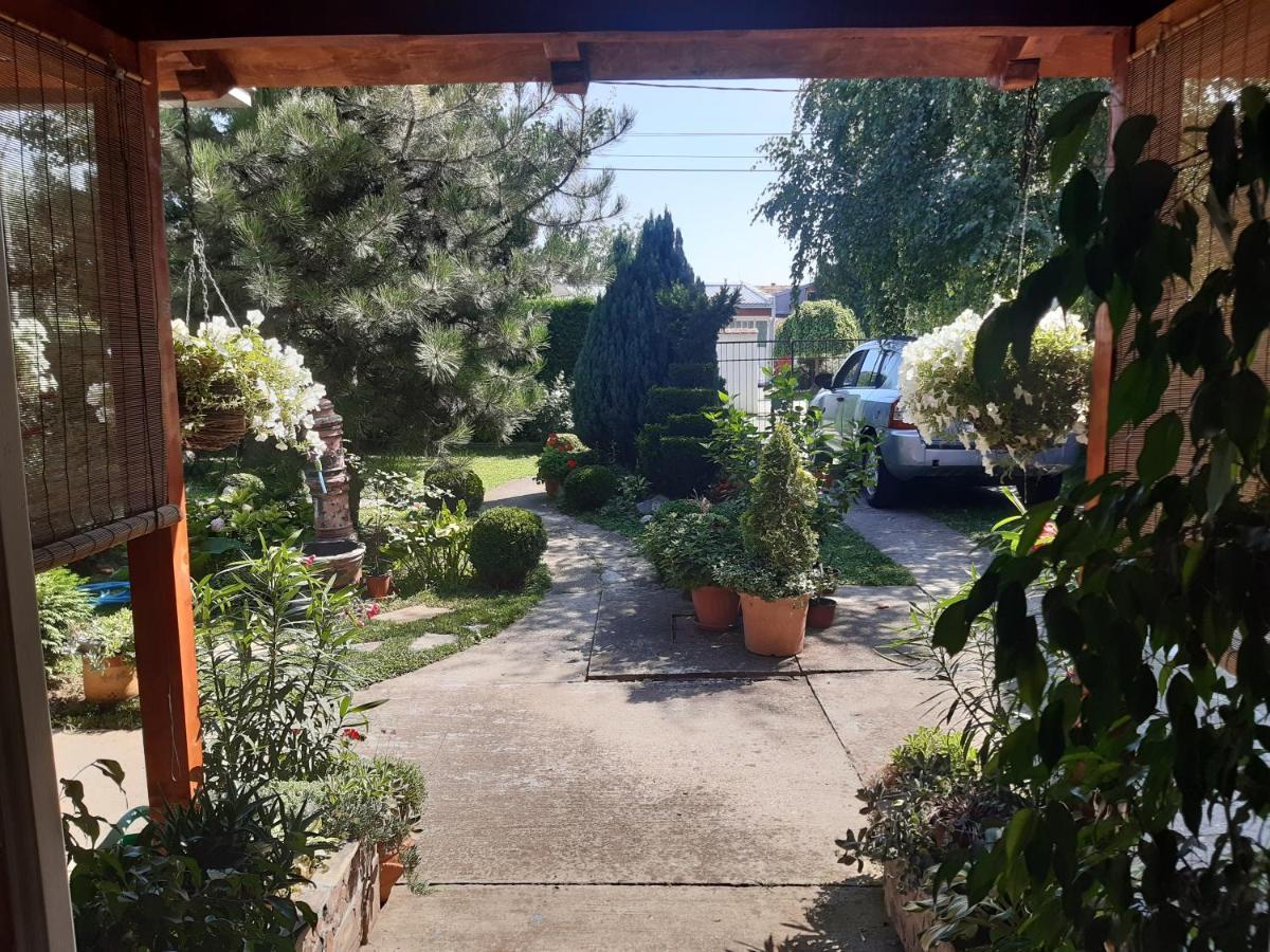 Natura Apartment Belgrad Dış mekan fotoğraf