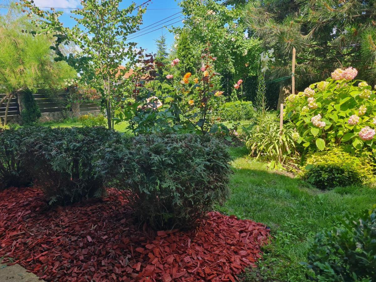 Natura Apartment Belgrad Dış mekan fotoğraf