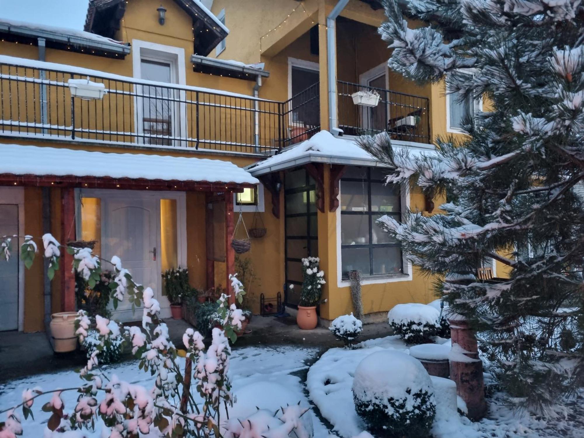 Natura Apartment Belgrad Dış mekan fotoğraf