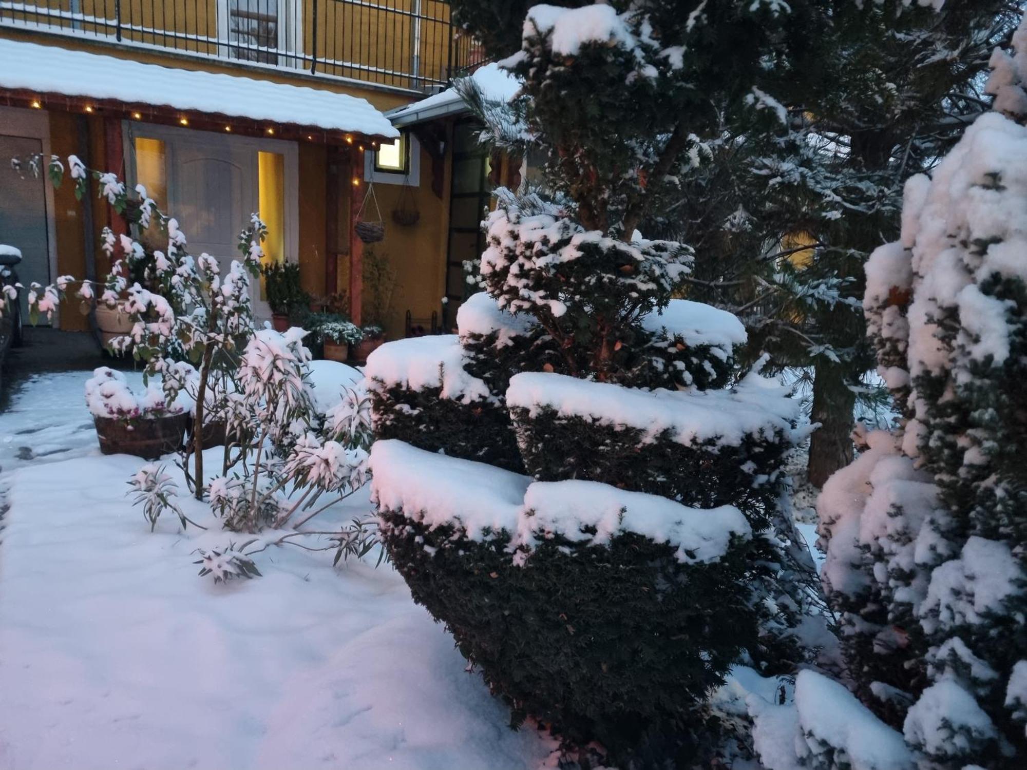Natura Apartment Belgrad Dış mekan fotoğraf