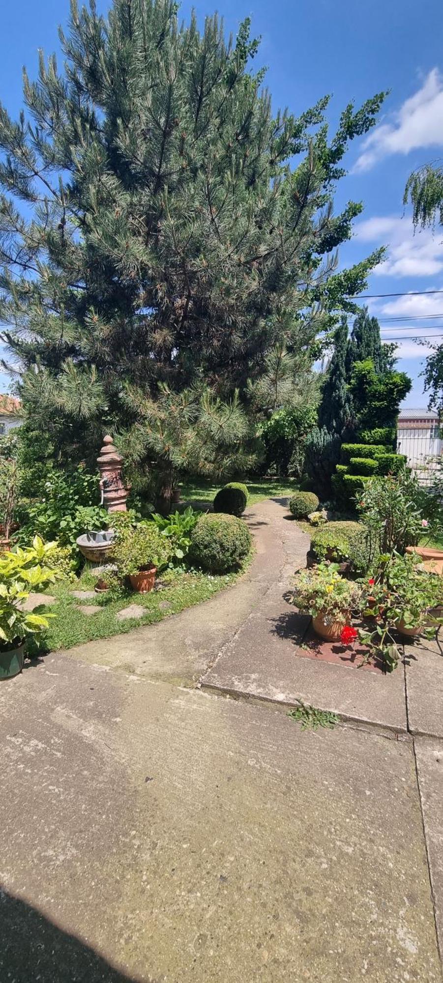 Natura Apartment Belgrad Dış mekan fotoğraf