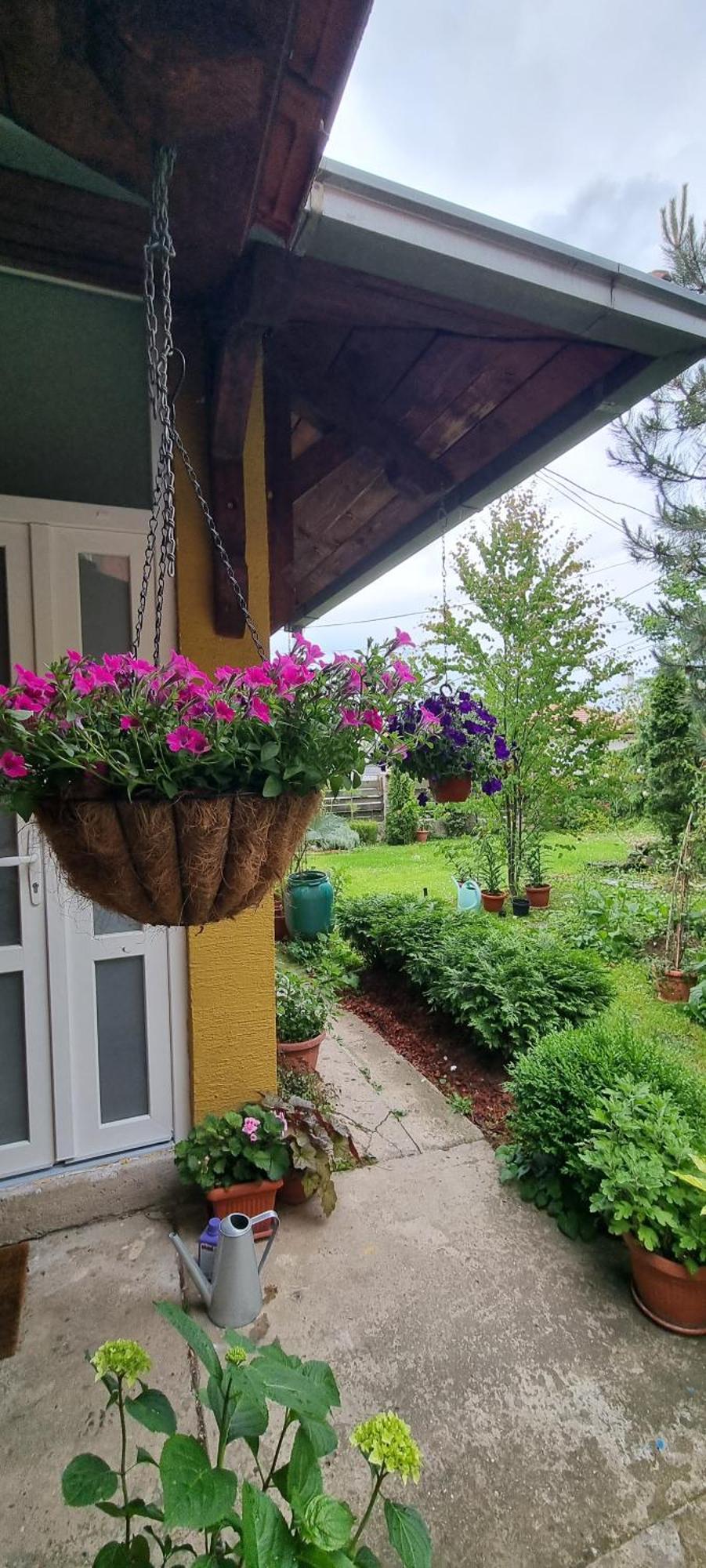 Natura Apartment Belgrad Dış mekan fotoğraf