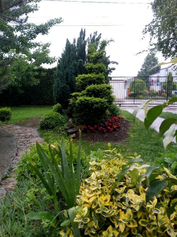 Natura Apartment Belgrad Dış mekan fotoğraf